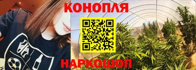 гидра Малоярославец
